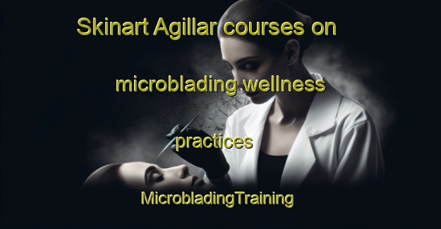 Skinart Agillar courses on microblading wellness practices | #MicrobladingTraining #MicrobladingClasses #SkinartTraining-Turkey