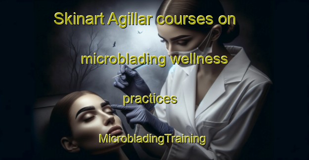 Skinart Agillar courses on microblading wellness practices | #MicrobladingTraining #MicrobladingClasses #SkinartTraining-Turkey