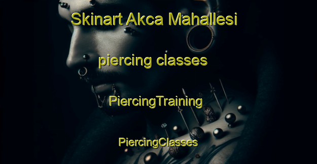 Skinart Akca Mahallesi piercing classes | #PiercingTraining #PiercingClasses #SkinartTraining-Turkey