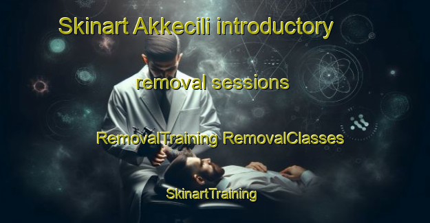 Skinart Akkecili introductory removal sessions | #RemovalTraining #RemovalClasses #SkinartTraining-Turkey