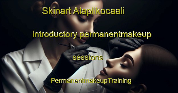 Skinart Alaplikocaali introductory permanentmakeup sessions | PermanentmakeupTraining | PermanentmakeupClasses | SkinartTraining-Turkey