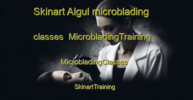 Skinart Algul microblading classes | MicrobladingTraining | MicrobladingClasses | SkinartTraining-Turkey