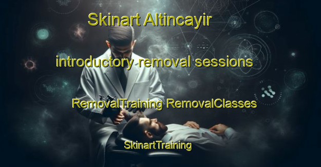 Skinart Altincayir introductory removal sessions | #RemovalTraining #RemovalClasses #SkinartTraining-Turkey