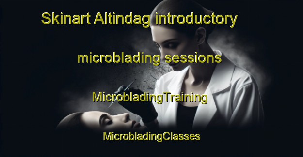 Skinart Altindag introductory microblading sessions | #MicrobladingTraining #MicrobladingClasses #SkinartTraining-Turkey