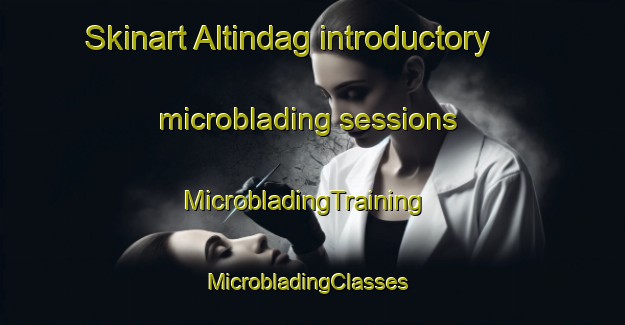 Skinart Altindag introductory microblading sessions | MicrobladingTraining | MicrobladingClasses | SkinartTraining-Turkey