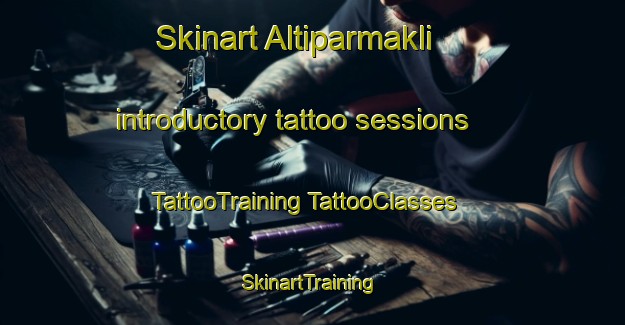 Skinart Altiparmakli introductory tattoo sessions | #TattooTraining #TattooClasses #SkinartTraining-Turkey