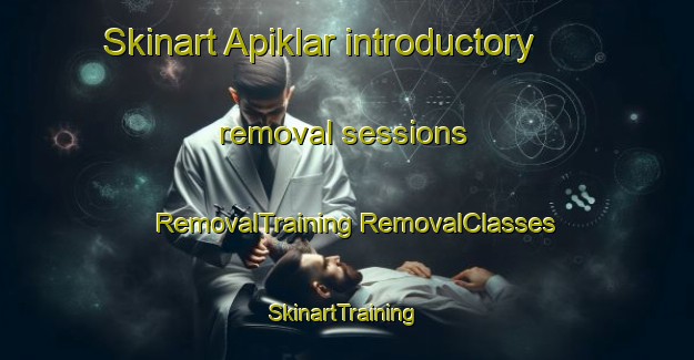 Skinart Apiklar introductory removal sessions | #RemovalTraining #RemovalClasses #SkinartTraining-Turkey