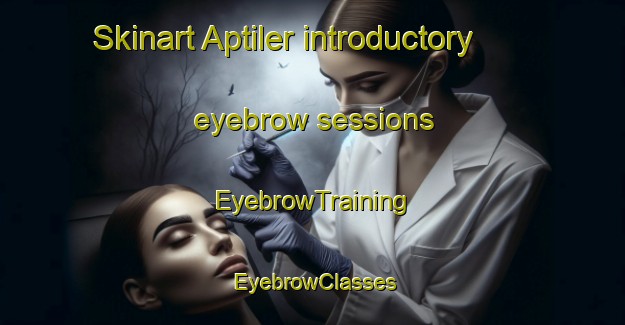 Skinart Aptiler introductory eyebrow sessions | EyebrowTraining | EyebrowClasses | SkinartTraining-Turkey