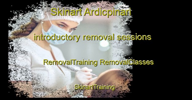 Skinart Ardicpinari introductory removal sessions | #RemovalTraining #RemovalClasses #SkinartTraining-Turkey