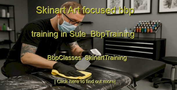 Skinart Art-focused bbp training in Sule | BbpTraining | BbpClasses | SkinartTraining-Turkey