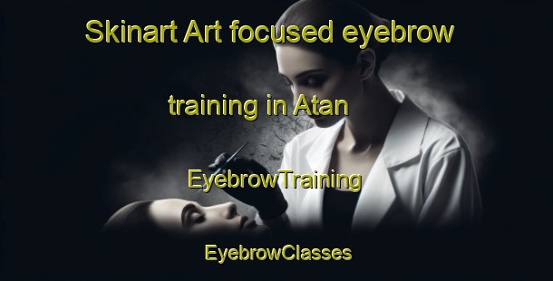 Skinart Art-focused eyebrow training in Atan | EyebrowTraining | EyebrowClasses | SkinartTraining-Turkey