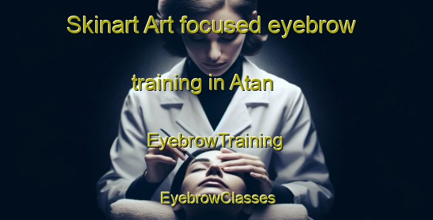 Skinart Art-focused eyebrow training in Atan | EyebrowTraining | EyebrowClasses | SkinartTraining-Turkey