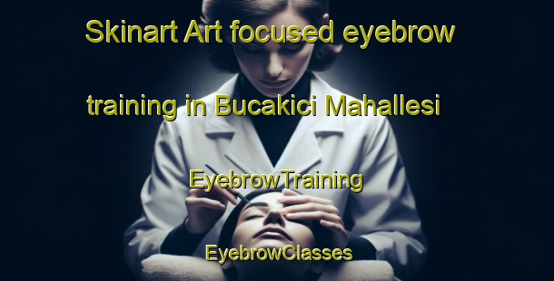 Skinart Art-focused eyebrow training in Bucakici Mahallesi | EyebrowTraining | EyebrowClasses | SkinartTraining-Turkey