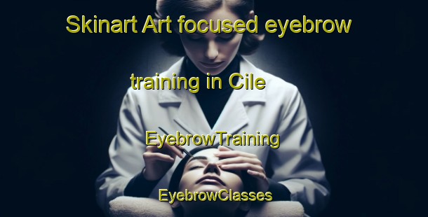 Skinart Art-focused eyebrow training in Cile | EyebrowTraining | EyebrowClasses | SkinartTraining-Turkey