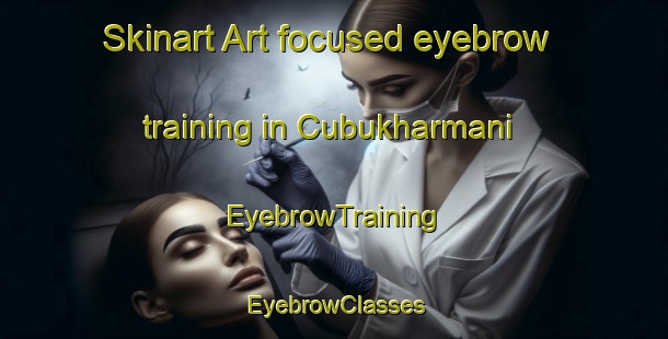 Skinart Art-focused eyebrow training in Cubukharmani | EyebrowTraining | EyebrowClasses | SkinartTraining-Turkey