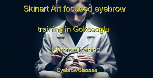 Skinart Art-focused eyebrow training in Gokceoglu | EyebrowTraining | EyebrowClasses | SkinartTraining-Turkey