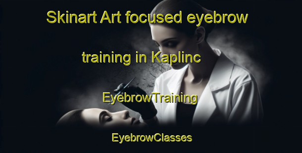 Skinart Art-focused eyebrow training in Kaplinc | EyebrowTraining | EyebrowClasses | SkinartTraining-Turkey