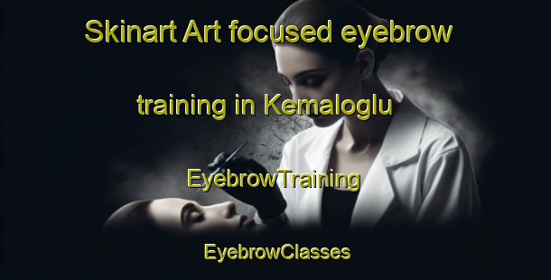 Skinart Art-focused eyebrow training in Kemaloglu | EyebrowTraining | EyebrowClasses | SkinartTraining-Turkey