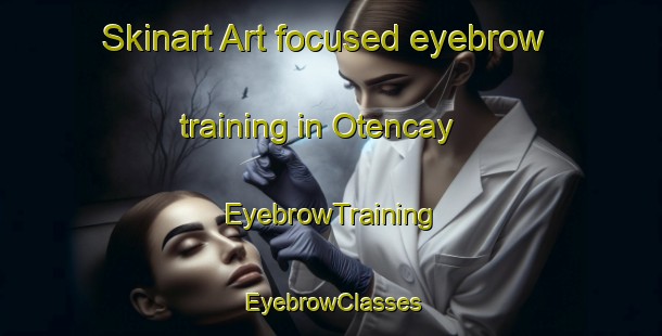 Skinart Art-focused eyebrow training in Otencay | EyebrowTraining | EyebrowClasses | SkinartTraining-Turkey