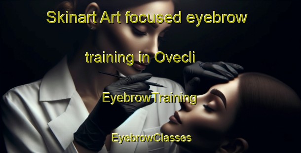 Skinart Art-focused eyebrow training in Ovecli | EyebrowTraining | EyebrowClasses | SkinartTraining-Turkey