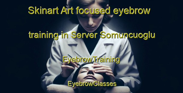 Skinart Art-focused eyebrow training in Server Somuncuoglu | EyebrowTraining | EyebrowClasses | SkinartTraining-Turkey