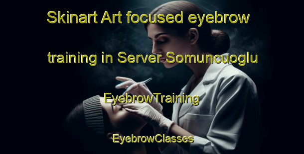 Skinart Art-focused eyebrow training in Server Somuncuoglu | EyebrowTraining | EyebrowClasses | SkinartTraining-Turkey