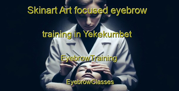 Skinart Art-focused eyebrow training in Yekekumbet | EyebrowTraining | EyebrowClasses | SkinartTraining-Turkey