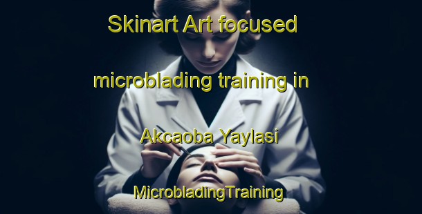 Skinart Art-focused microblading training in Akcaoba Yaylasi | #MicrobladingTraining #MicrobladingClasses #SkinartTraining-Turkey