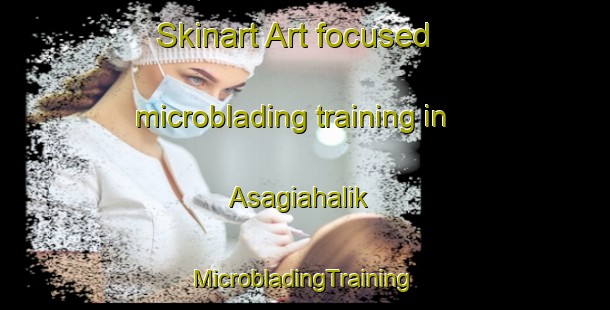 Skinart Art-focused microblading training in Asagiahalik | #MicrobladingTraining #MicrobladingClasses #SkinartTraining-Turkey