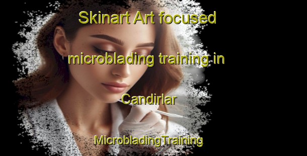 Skinart Art-focused microblading training in Candirlar | MicrobladingTraining | MicrobladingClasses | SkinartTraining-Turkey