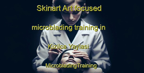 Skinart Art-focused microblading training in Kizilca Yaylasi | #MicrobladingTraining #MicrobladingClasses #SkinartTraining-Turkey