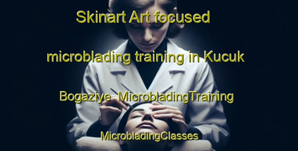 Skinart Art-focused microblading training in Kucuk Bogaziye | #MicrobladingTraining #MicrobladingClasses #SkinartTraining-Turkey