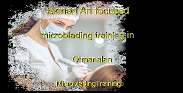 Skinart Art-focused microblading training in Otmanalan | MicrobladingTraining | MicrobladingClasses | SkinartTraining-Turkey