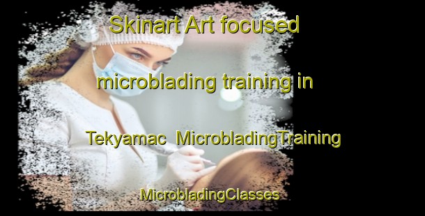 Skinart Art-focused microblading training in Tekyamac | MicrobladingTraining | MicrobladingClasses | SkinartTraining-Turkey