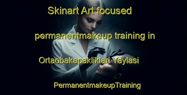 Skinart Art-focused permanentmakeup training in Ortaobakapakliklari Yaylasi | #PermanentmakeupTraining #PermanentmakeupClasses #SkinartTraining-Turkey