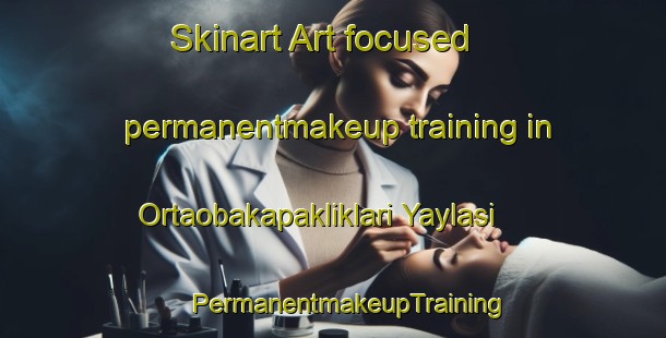 Skinart Art-focused permanentmakeup training in Ortaobakapakliklari Yaylasi | #PermanentmakeupTraining #PermanentmakeupClasses #SkinartTraining-Turkey