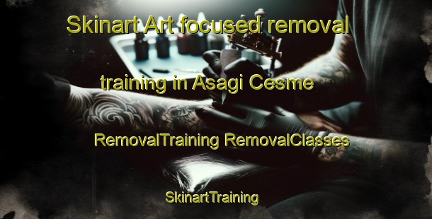 Skinart Art-focused removal training in Asagi Cesme | #RemovalTraining #RemovalClasses #SkinartTraining-Turkey