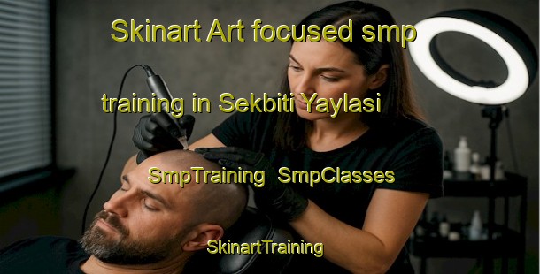 Skinart Art-focused smp training in Sekbiti Yaylasi | SmpTraining | SmpClasses | SkinartTraining-Turkey