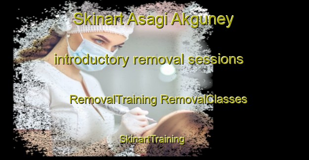 Skinart Asagi Akguney introductory removal sessions | #RemovalTraining #RemovalClasses #SkinartTraining-Turkey