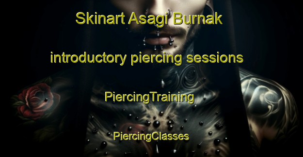 Skinart Asagi Burnak introductory piercing sessions | #PiercingTraining #PiercingClasses #SkinartTraining-Turkey