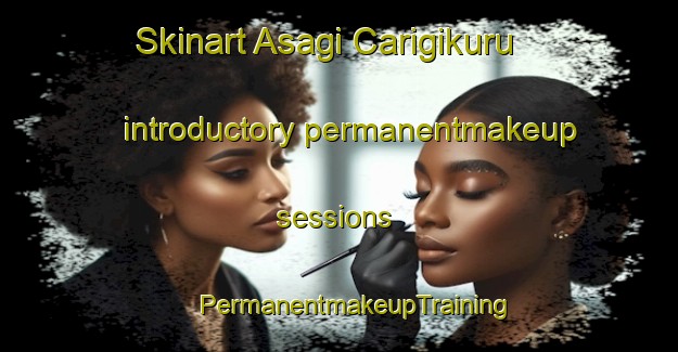 Skinart Asagi Carigikuru introductory permanentmakeup sessions | #PermanentmakeupTraining #PermanentmakeupClasses #SkinartTraining-Turkey