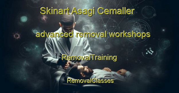 Skinart Asagi Cemaller advanced removal workshops | RemovalTraining | RemovalClasses | SkinartTraining-Turkey