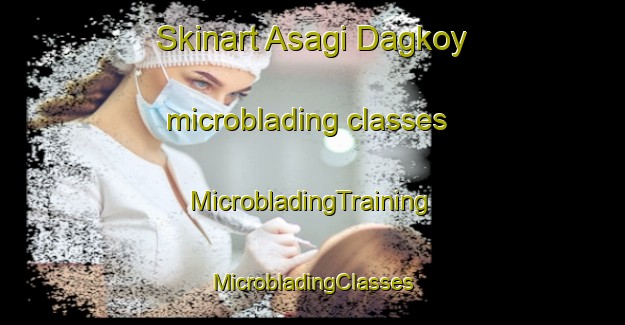 Skinart Asagi Dagkoy microblading classes | #MicrobladingTraining #MicrobladingClasses #SkinartTraining-Turkey