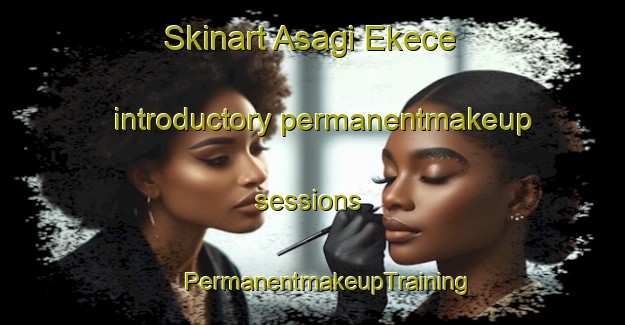 Skinart Asagi Ekece introductory permanentmakeup sessions | #PermanentmakeupTraining #PermanentmakeupClasses #SkinartTraining-Turkey