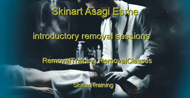 Skinart Asagi Esme introductory removal sessions | #RemovalTraining #RemovalClasses #SkinartTraining-Turkey