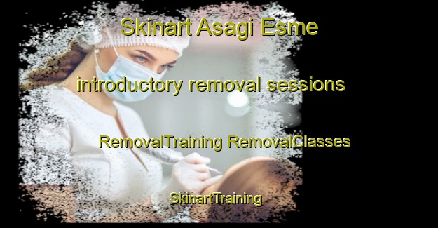 Skinart Asagi Esme introductory removal sessions | #RemovalTraining #RemovalClasses #SkinartTraining-Turkey