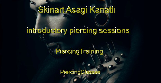 Skinart Asagi Kanatli introductory piercing sessions | #PiercingTraining #PiercingClasses #SkinartTraining-Turkey