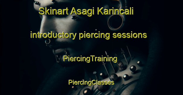 Skinart Asagi Karincali introductory piercing sessions | #PiercingTraining #PiercingClasses #SkinartTraining-Turkey