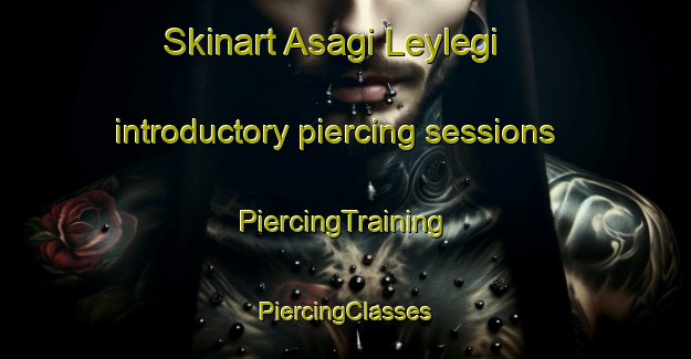 Skinart Asagi Leylegi introductory piercing sessions | #PiercingTraining #PiercingClasses #SkinartTraining-Turkey