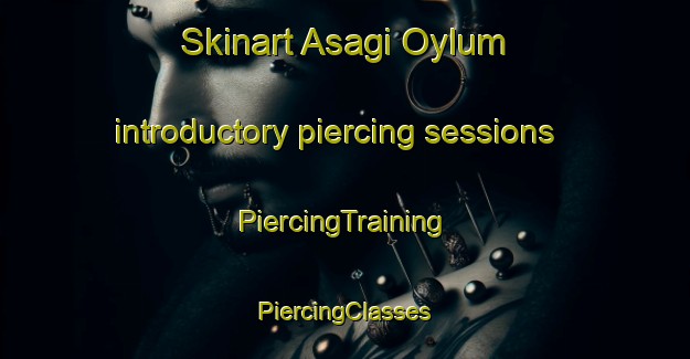 Skinart Asagi Oylum introductory piercing sessions | #PiercingTraining #PiercingClasses #SkinartTraining-Turkey